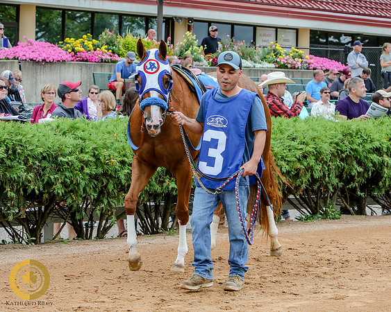 Minnesota Quarter Horse Derby - Race 2 - Jess Doin Time