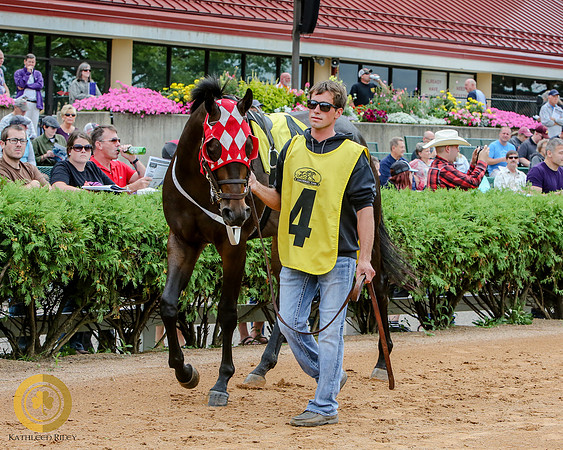 Minnesota Quarter Horse Derby - Race 2 - Fire N Guns