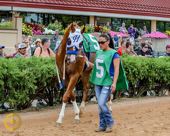 Minnesota Quarter Horse Derby - Race 2 - Eos Mini Pearl