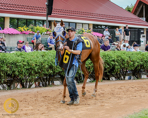 Minnesota Quarter Horse Derby - Race 2 - DB Quick Sam