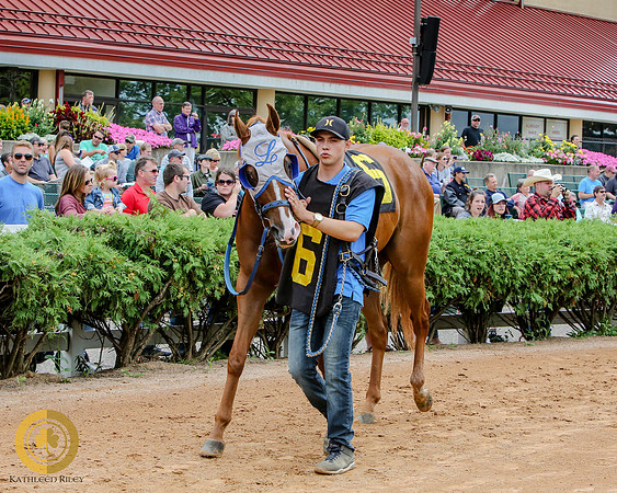 Minnesota Quarter Horse Derby - Race 2 - DB Quick Sam