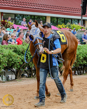 Minnesota Quarter Horse Derby - Race 2 - DB Quick Sam
