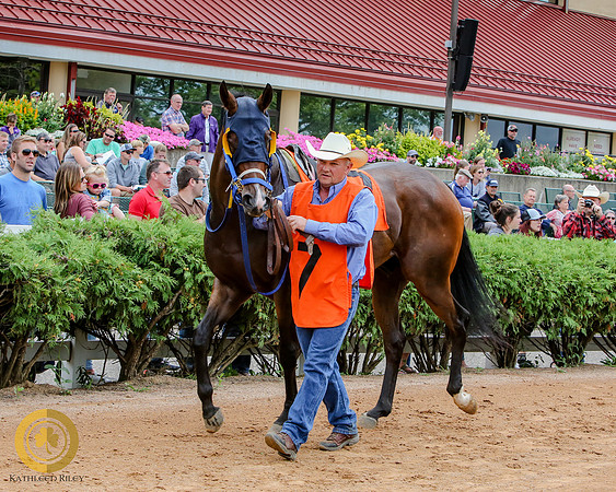 Minnesota Quarter Horse Derby - Race 2 - Fly With A Buzz