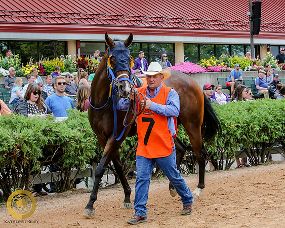 Minnesota Quarter Horse Derby - Race 2 - Fly With A Buzz