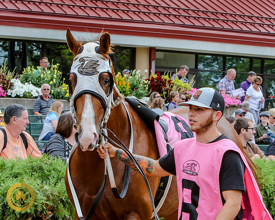 Minnesota Quarter Horse Derby - Race 2 - Holy Storm