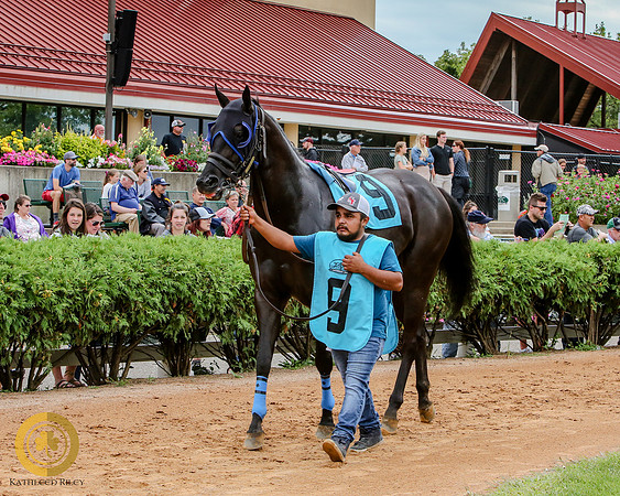 Minnesota Quarter Horse Derby - Race 2 - Haute Wagon