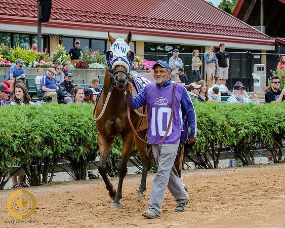 Minnesota Quarter Horse Derby - Race 2 - Apolls Reign