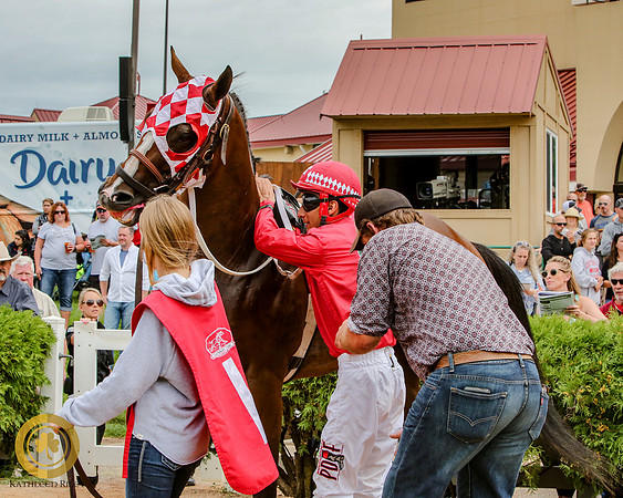Minnesota Quarter Horse Derby - Race 2 - Runnoft