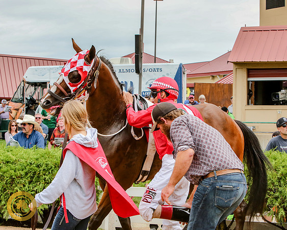 Minnesota Quarter Horse Derby - Race 2 - Runnoft