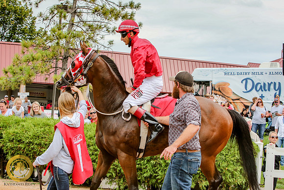 Minnesota Quarter Horse Derby - Race 2 - Runnoft