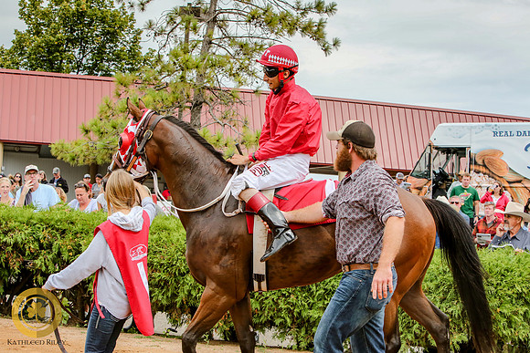 Minnesota Quarter Horse Derby - Race 2 - Runnoft
