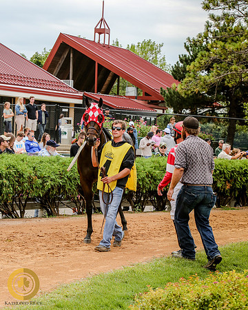 Minnesota Quarter Horse Derby - Race 2 - Fire N Guns