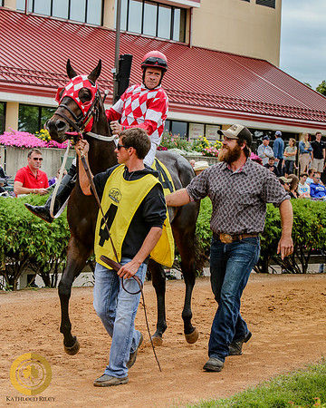 Minnesota Quarter Horse Derby - Race 2 - Fire N Guns