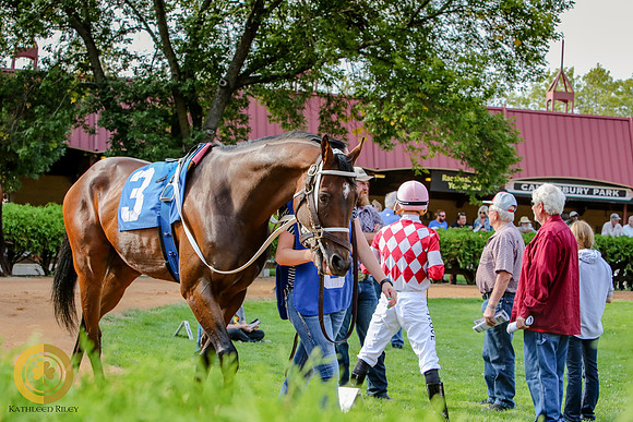 Minnesota Bred Thoroughbred Allowance - Race 9 - Last Minister