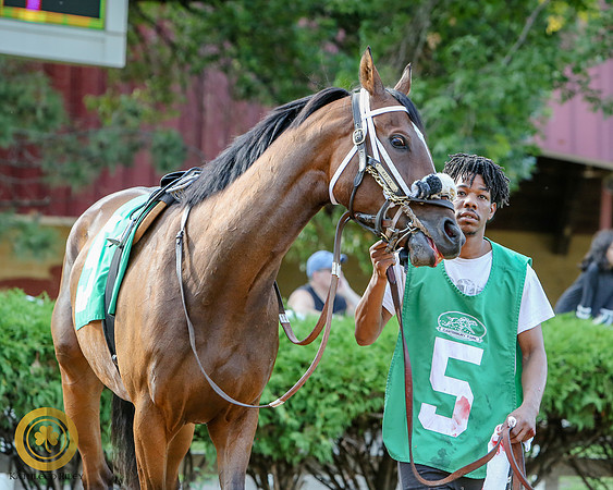 Minnesota Bred Thoroughbred Allowance - Race 9 - Tekela's Glory