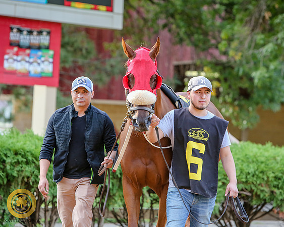 Minnesota Bred Thoroughbred Allowance - Race 9 - Kela Brew