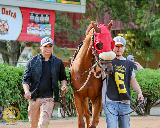 Minnesota Bred Thoroughbred Allowance - Race 9 - Kela Brew