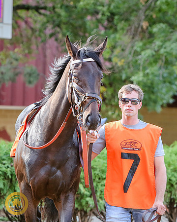 Minnesota Bred Thoroughbred Allowance - Race 9 - Talent and Tricks