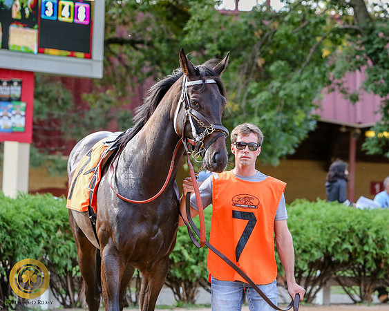 Minnesota Bred Thoroughbred Allowance - Race 9 - Talent and Tricks