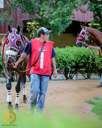 Minnesota Bred Thoroughbred Allowance - Race 9 - Son Of So