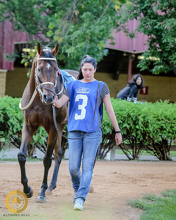 Minnesota Bred Thoroughbred Allowance - Race 9 - Last Minister