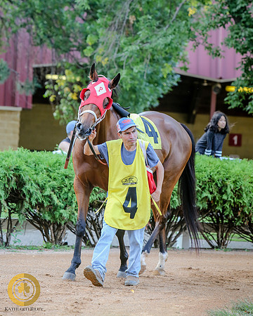 Minnesota Bred Thoroughbred Allowance - Race 9 - Minnesota Lucky