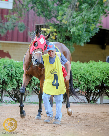 Minnesota Bred Thoroughbred Allowance - Race 9 - Minnesota Lucky