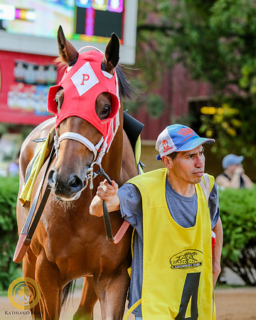 Minnesota Bred Thoroughbred Allowance - Race 9 - Minnesota Lucky