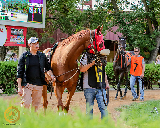 Minnesota Bred Thoroughbred Allowance - Race 9 - Kela Brew