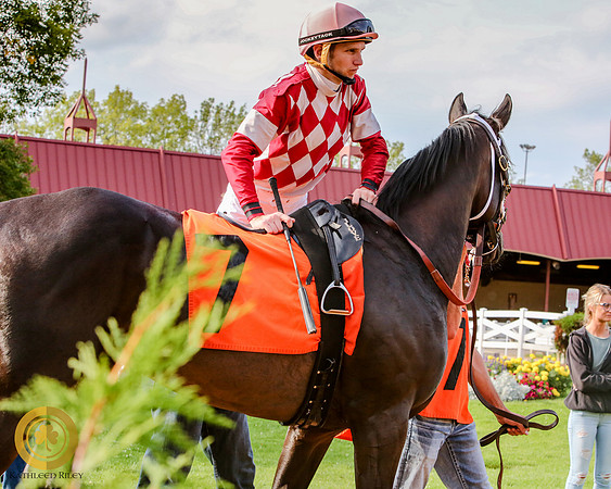Minnesota Bred Thoroughbred Allowance - Race 9 - Talent and Tricks