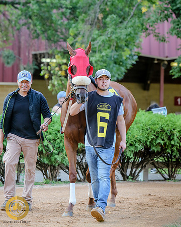 Minnesota Bred Thoroughbred Allowance - Race 9 - Kela Brew