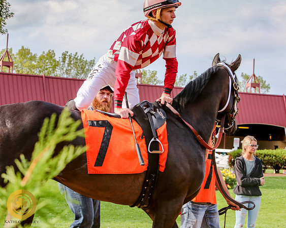 Minnesota Bred Thoroughbred Allowance - Race 9 - Talent and Tricks