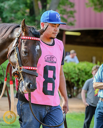 Minnesota Bred Thoroughbred Allowance - Race 9 - Harry The Hitman