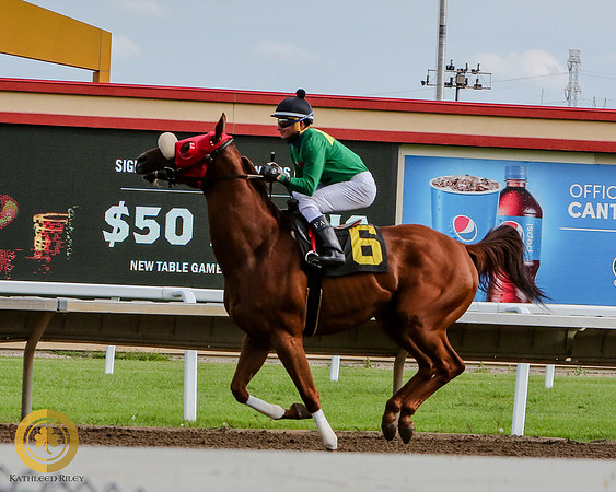 Minnesota Bred Thoroughbred Allowance - Race 9 - Kela Brew