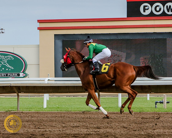 Minnesota Bred Thoroughbred Allowance - Race 9 - Kela Brew