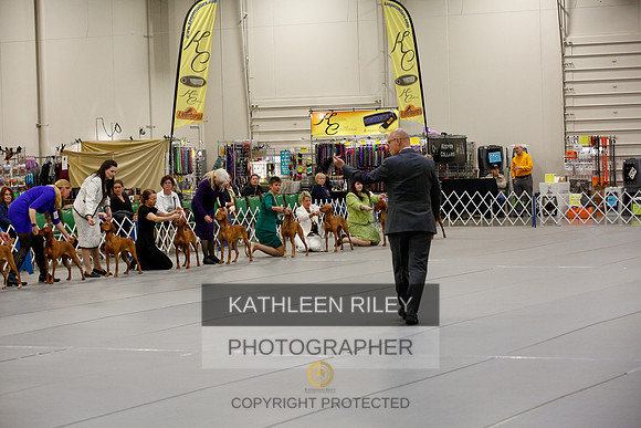 2022-KathleenRileyPhotography-1395