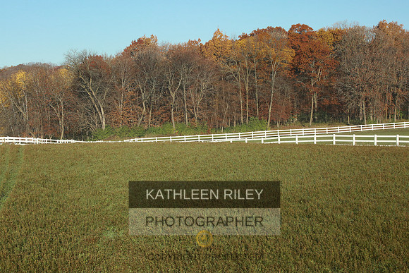 2021-KathleenRileyPhotography-3509