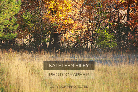 2021-KathleenRileyPhotography-3536
