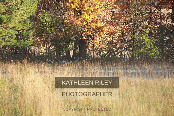 2021-KathleenRileyPhotography-3539