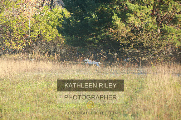 2021-KathleenRileyPhotography-3548