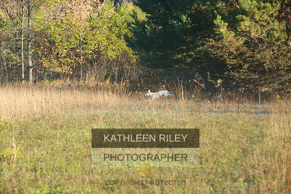 2021-KathleenRileyPhotography-3549
