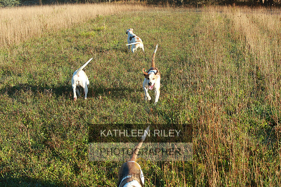 2021-KathleenRileyPhotography-3614