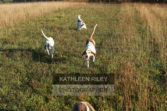 2021-KathleenRileyPhotography-3615