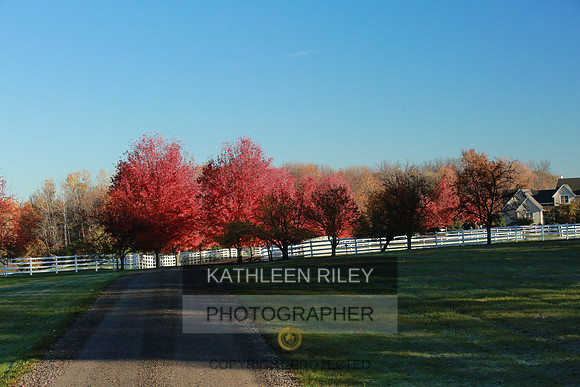 2021-KathleenRileyPhotography-3653