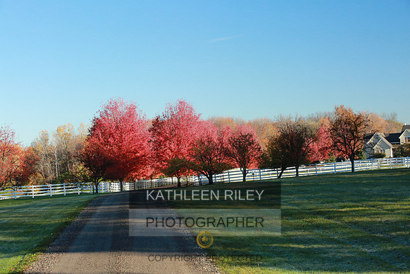 2021-KathleenRileyPhotography-3654