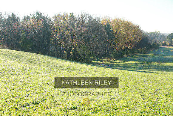 2021-KathleenRileyPhotography-3671