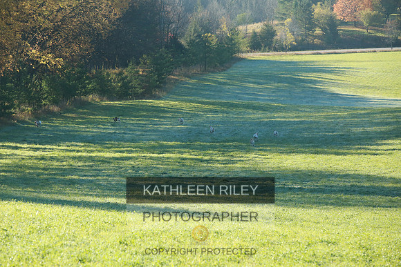 2021-KathleenRileyPhotography-3674