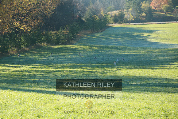 2021-KathleenRileyPhotography-3675