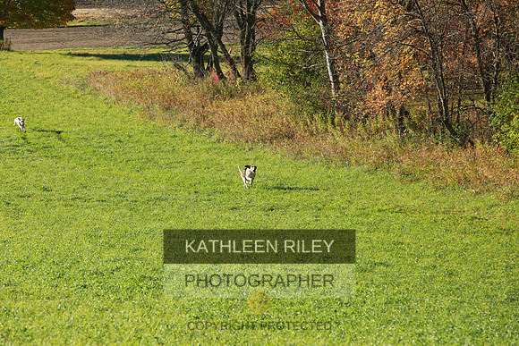 2021-KathleenRileyPhotography-3687