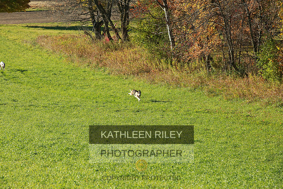 2021-KathleenRileyPhotography-3688
